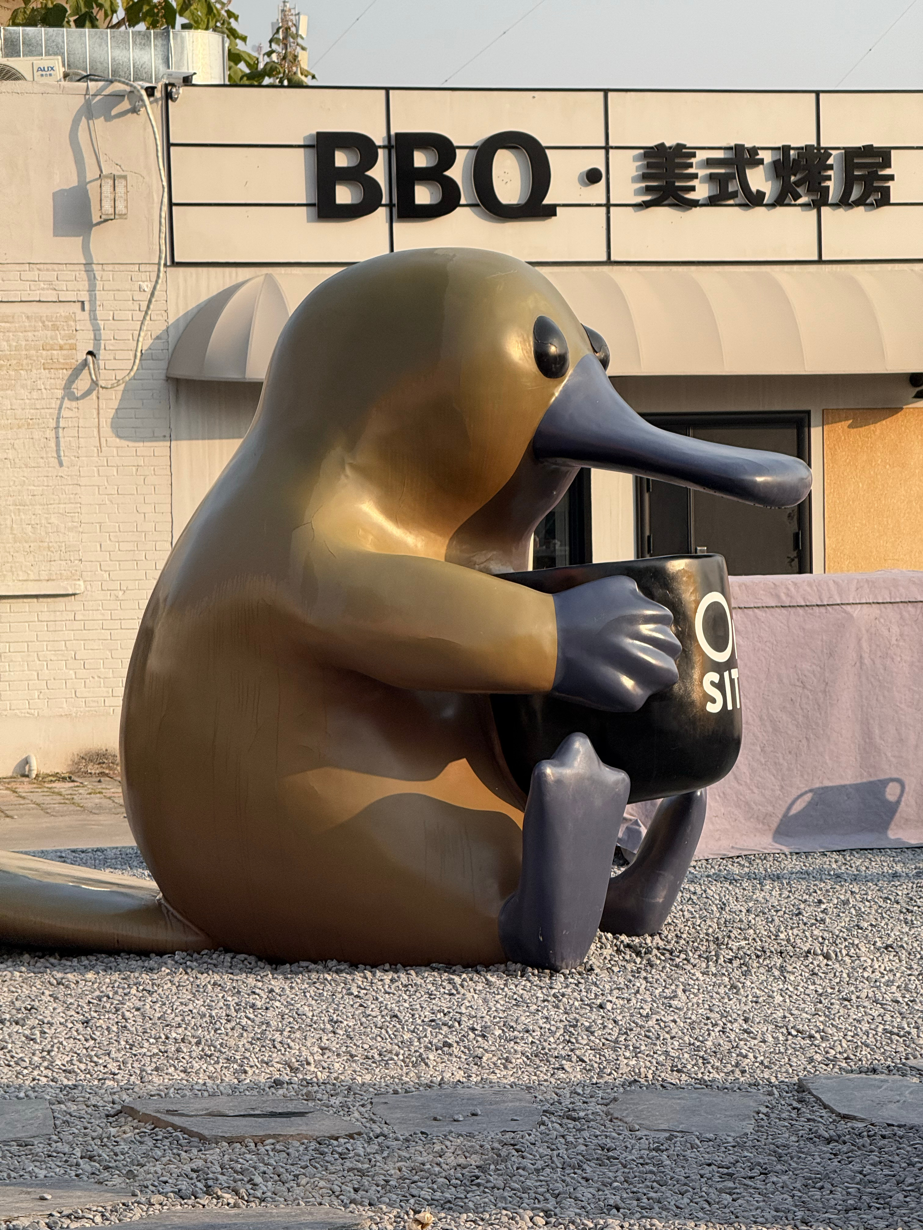 今天北京的天真的很不错舒舒服服北京的冷和南京的冷真的很不一样差着10度，体感也没