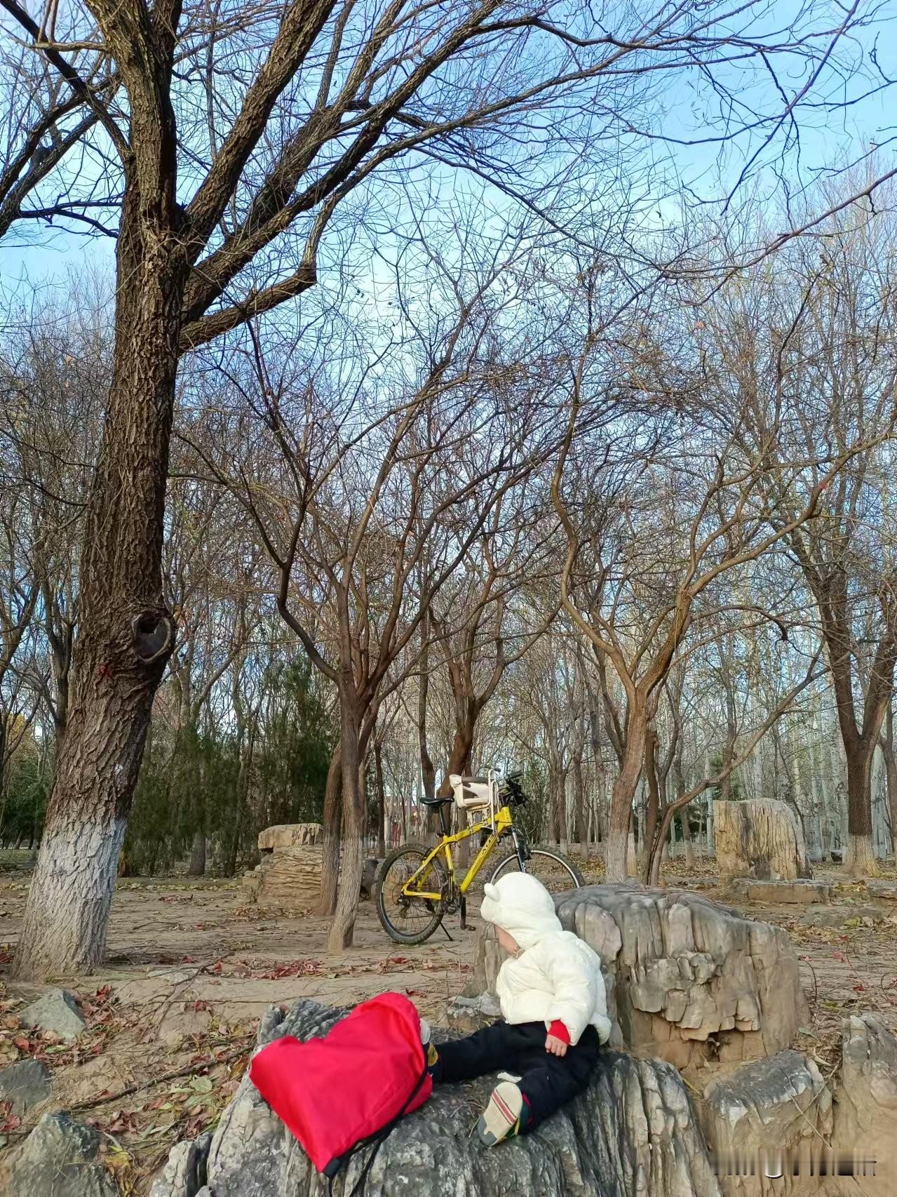 梁东方
带着婴儿玩的一大好处是一切都由你来决定，婴儿只负责随走随看，什么方向、什