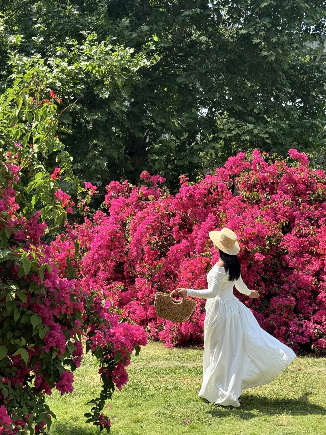 人生乐事，莫过于静等花开