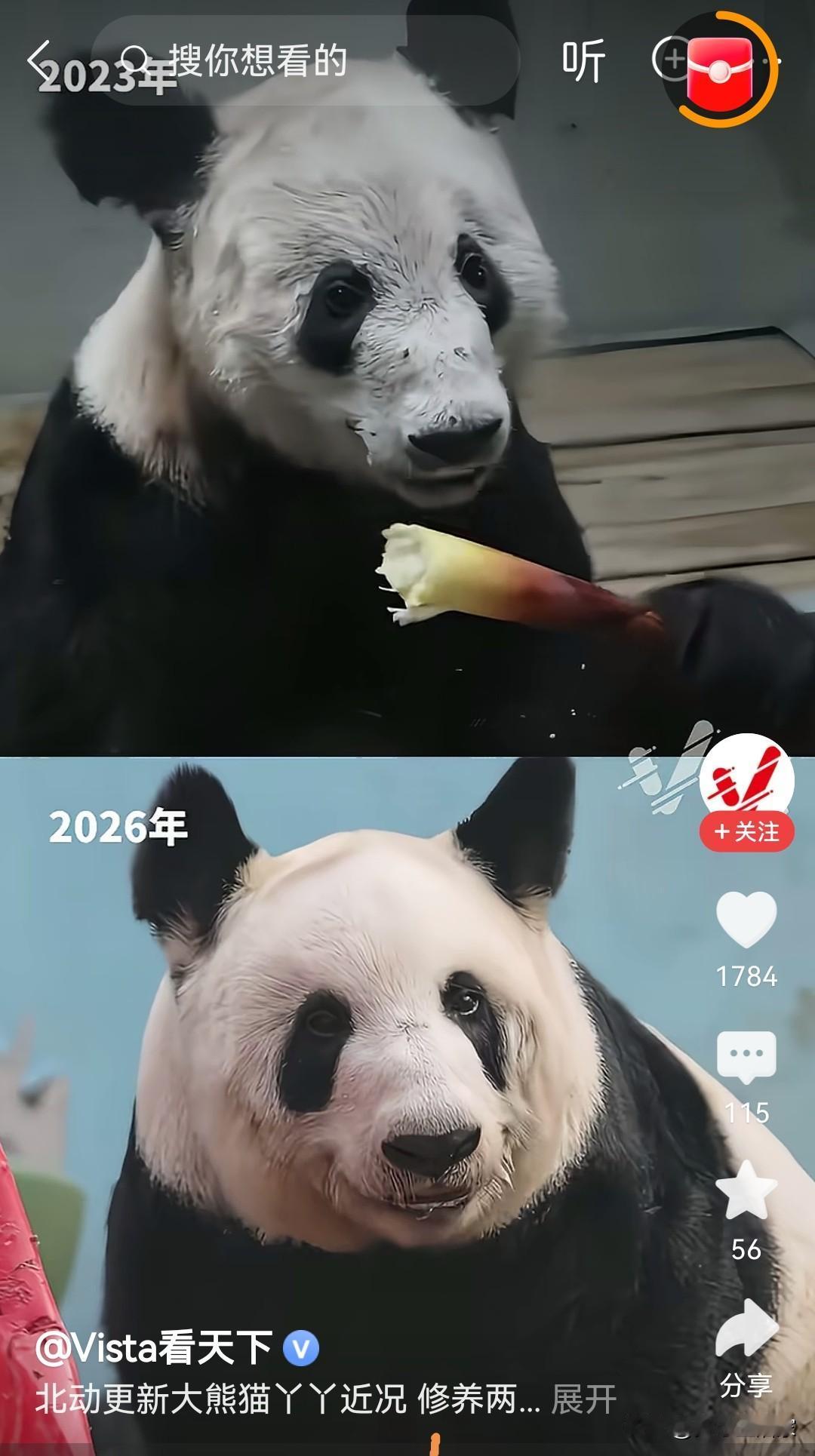 世上只有妈妈好，有妈的孩子像个保。

二婚、寄养等等其实孩子都是会受到伤害的。别