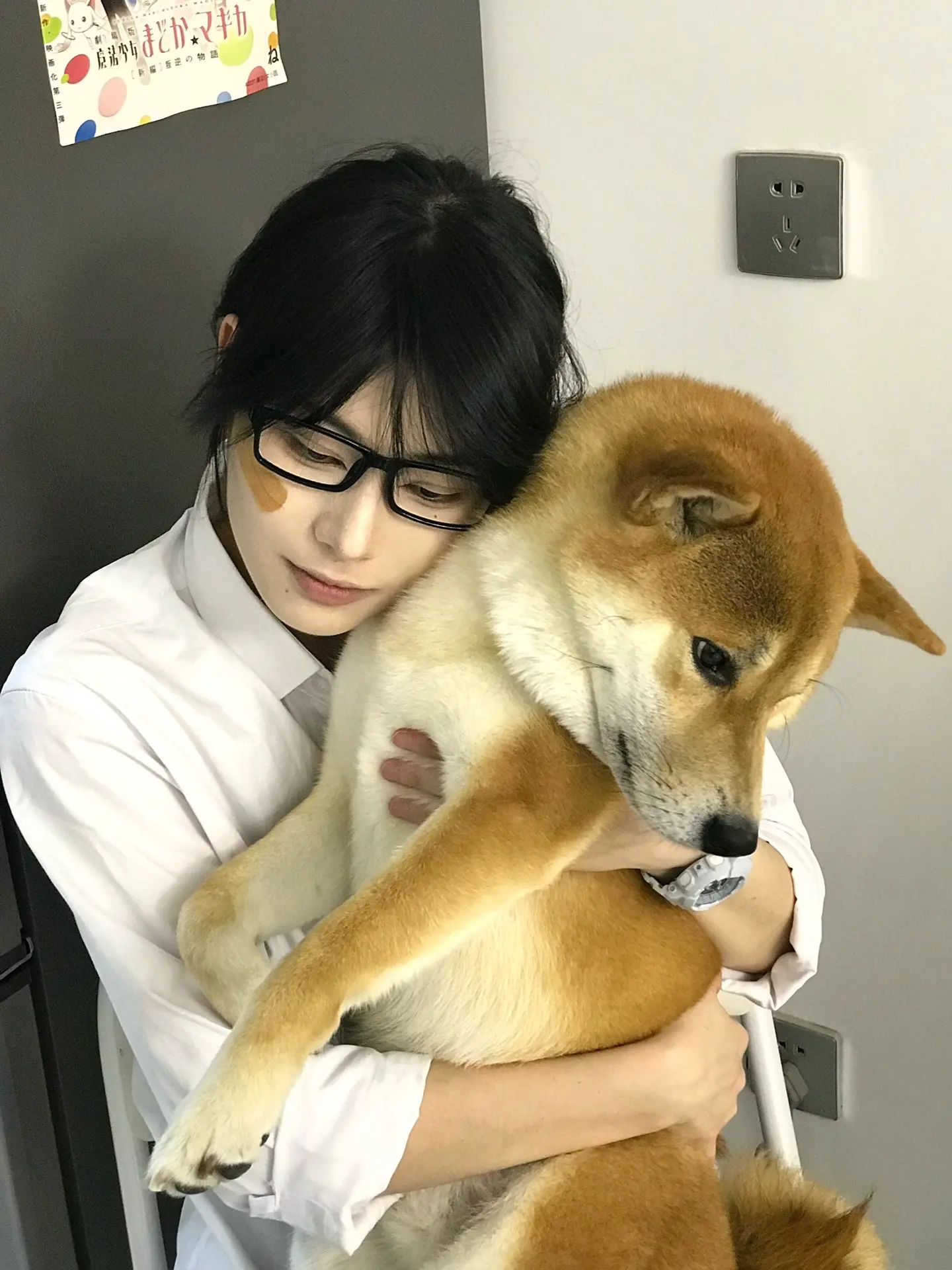 小狗在等你回家 少年感