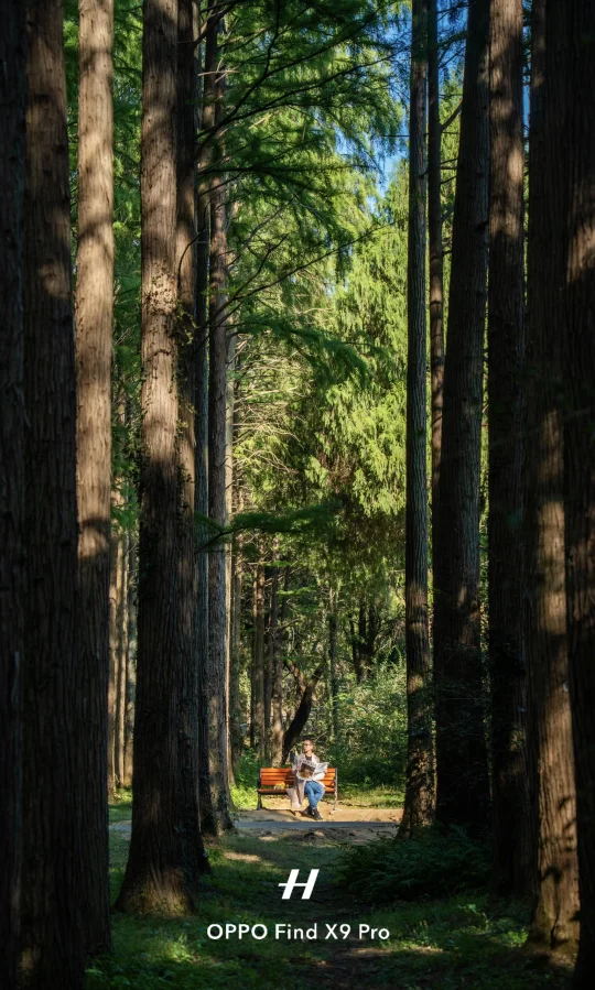 2亿像素直出丨南京适合i人待一天的一些地方