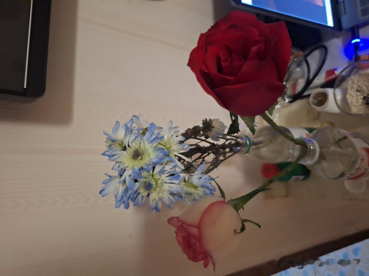 一位美女送的花，漂亮吧？


当然，作为礼尚往来，我也回赠了礼物