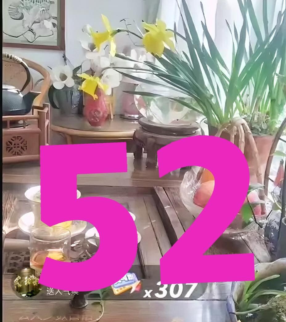 终于要开庭？
许妈52万诉讼箭在弦上，柴桑大姨：谁也挡不住！
 
盼了这么久，许