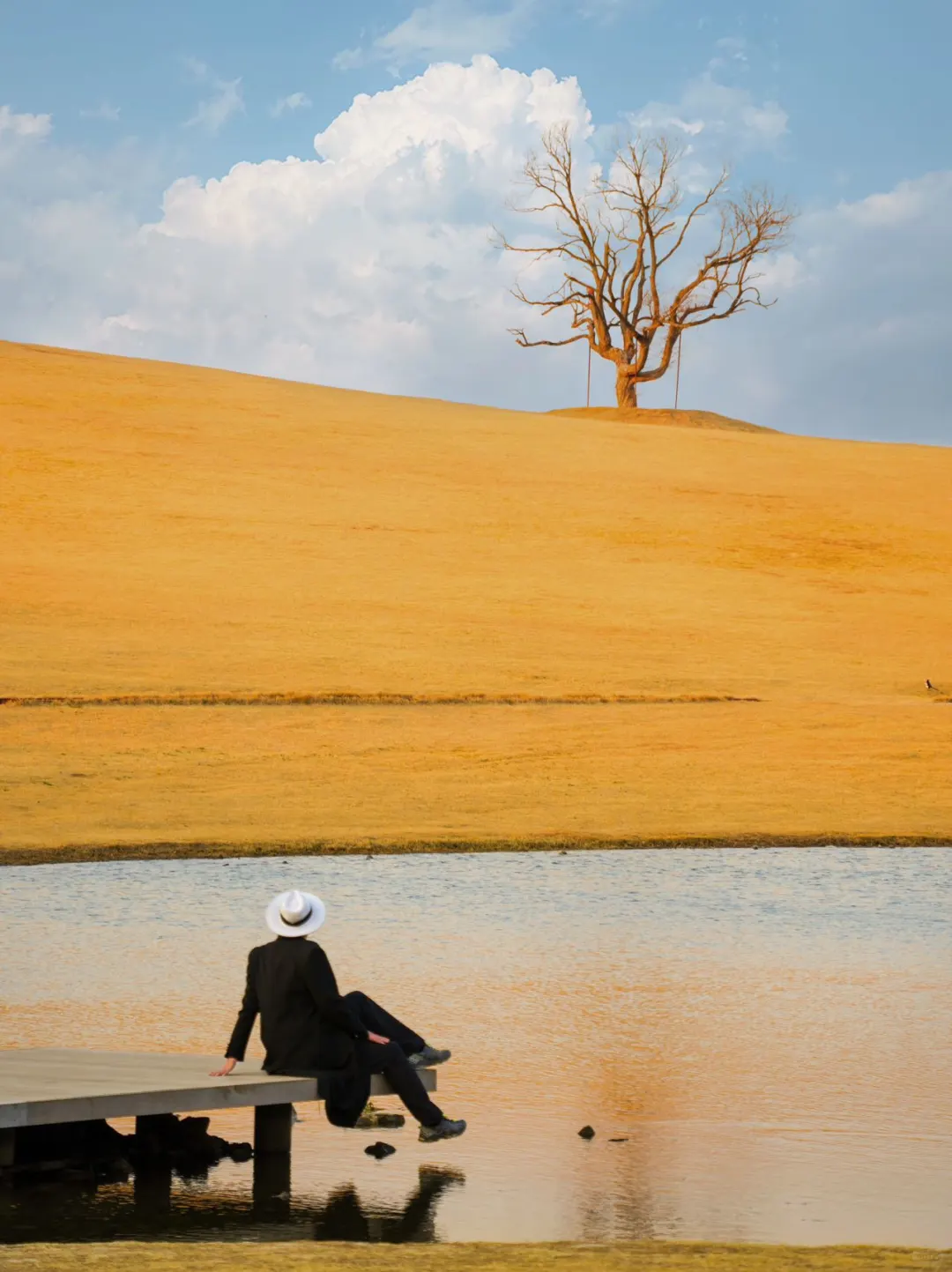 以为青岛够美了，直到我去了趟日照😭