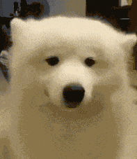 #一本书读懂遇见的意义#去遇见这本书真的是非常不错，而且真的是意义非凡了，也是给