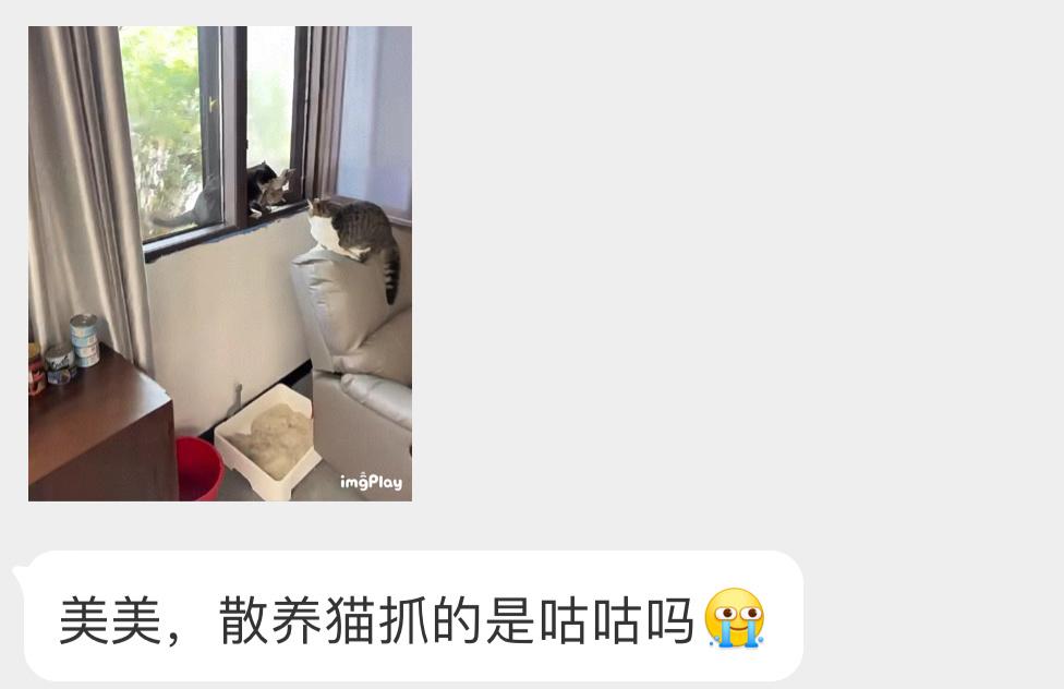 是一只可怜的珠颈斑鸠散养猫不仅威胁当地的野生动物，对猫本身的来说也是极不不负责的
