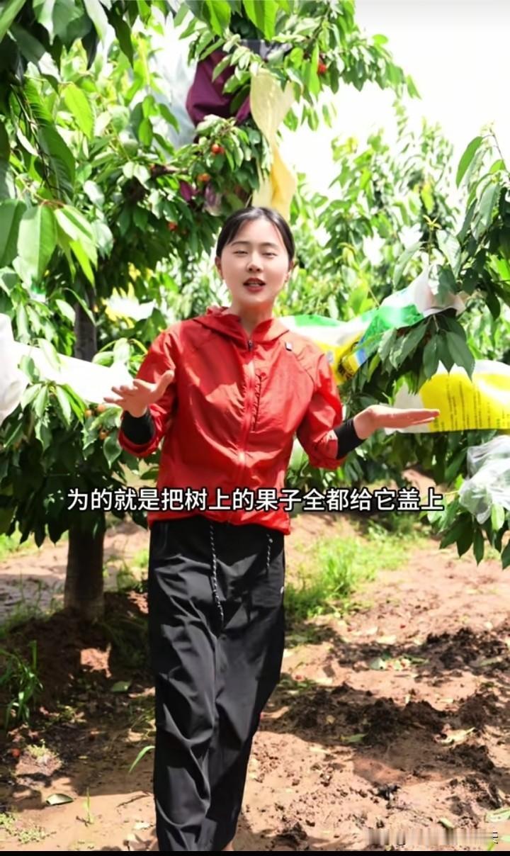 拥有千万粉丝的网红博主相宜已经20多天没更新短视频了，自从李雨禅在白良村樱桃集会