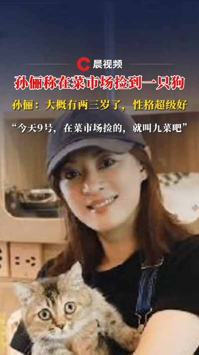 近日，孙俪在菜市场遇到了一只流浪狗，看着小狗可怜，就把它带回了家。
 
她还特意