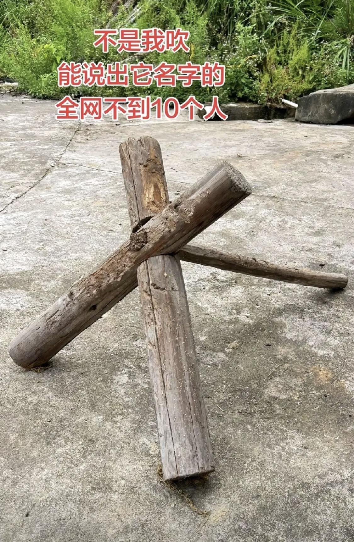你能说出它的名字吗？