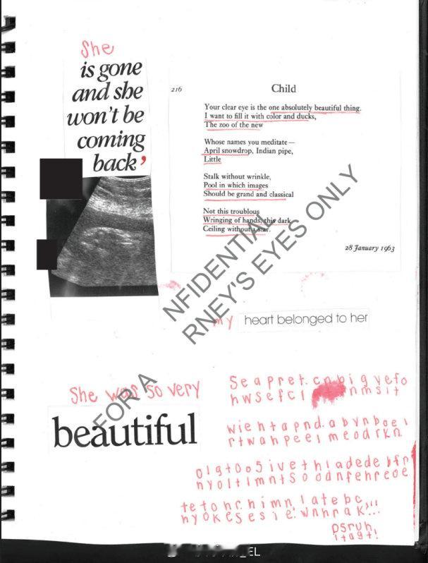 爱泼斯坦档案中发现的一名受害者的日记描述了她被迫分娩的情况，并且在婴儿被带走之前