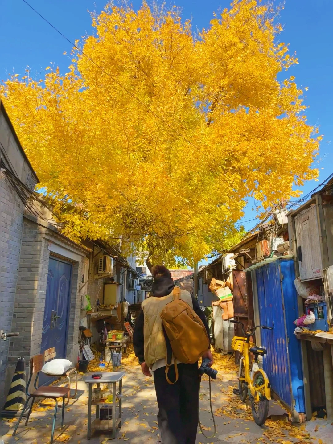 国庆❗️北京胡同citywalk➕赏秋路线合集地图