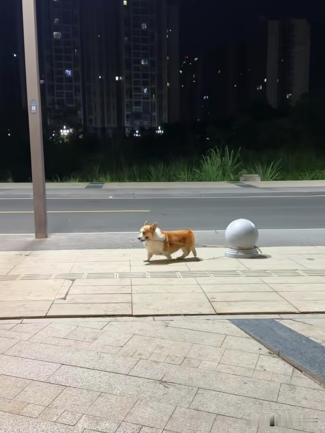 请问这张图暴露了几个问题？