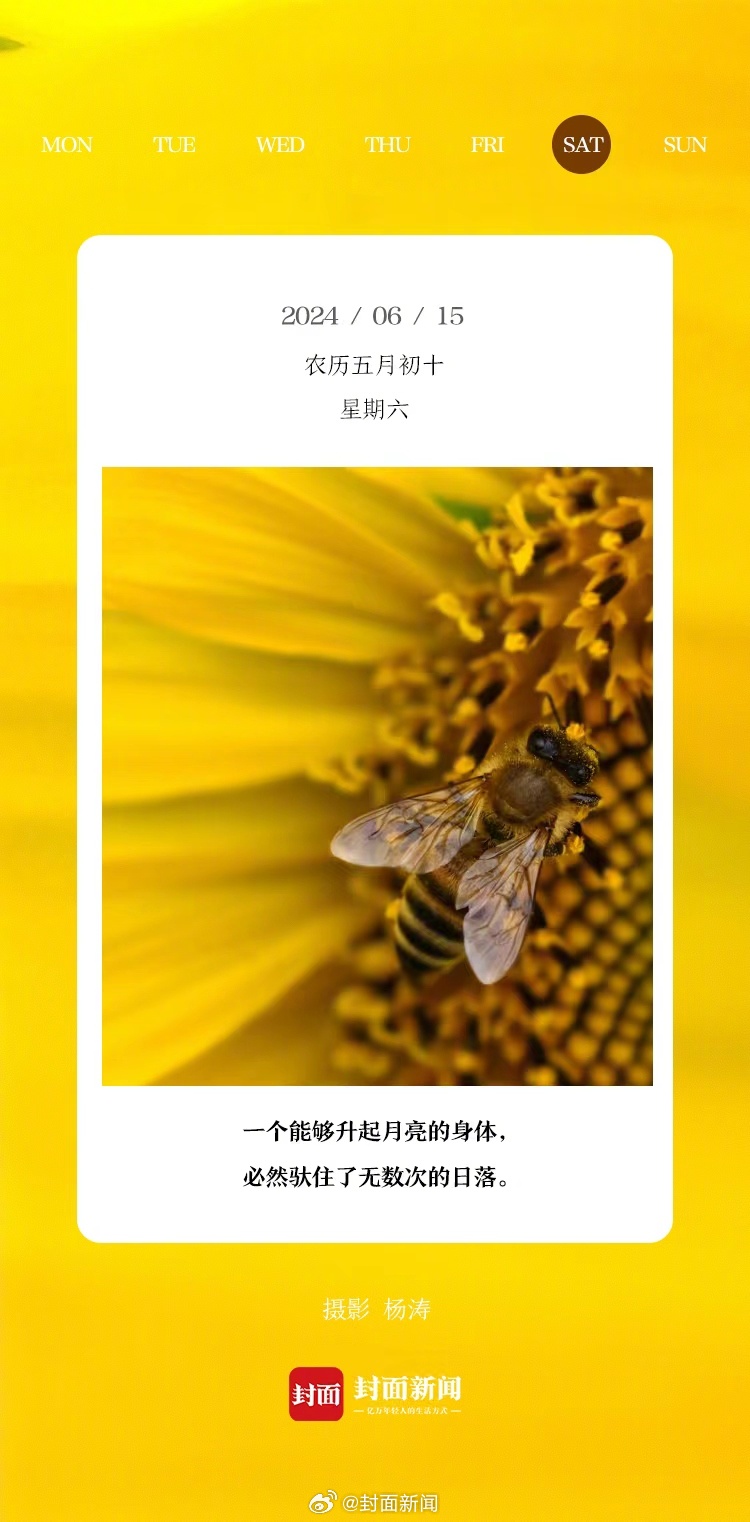 #小封日历# 早安！今天周六啦，你准备去哪里？ ​​​