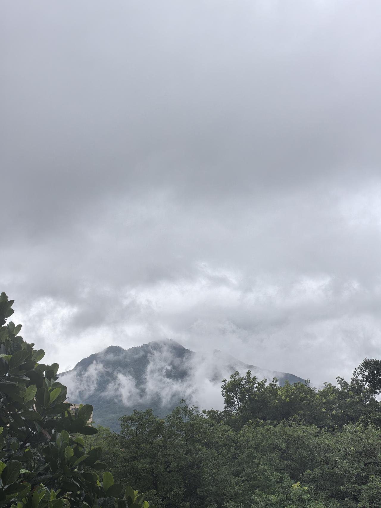 莆田奇葩事
阴雨天气，在风雨来临之前，西天尾的马路上到处围起来了。
围起来的原因