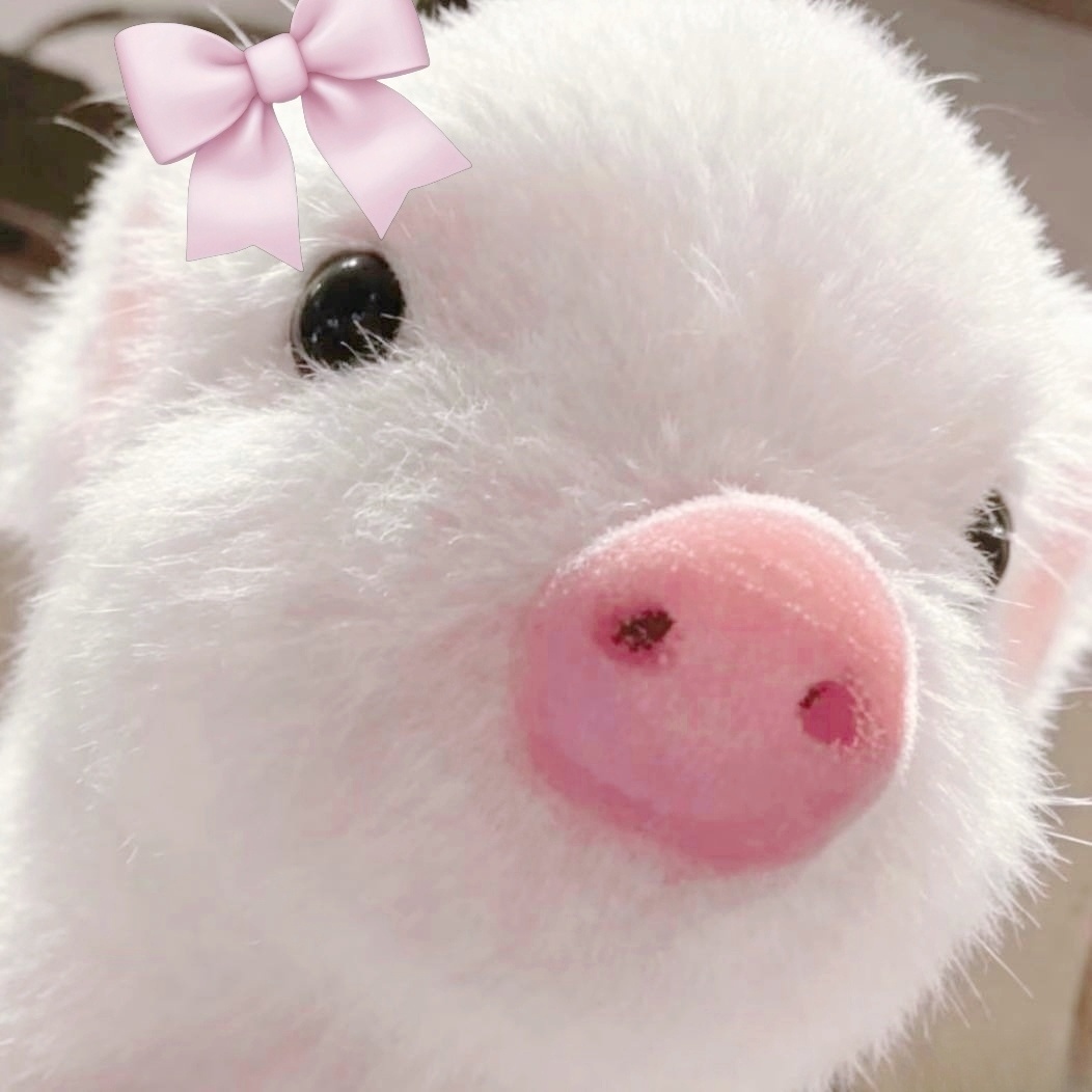 哎呦我天呢这简直是猪斤告本猪啊🐽 