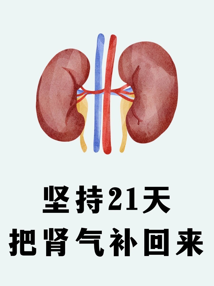 坚持21天，把肾气全补回来！ ​​​