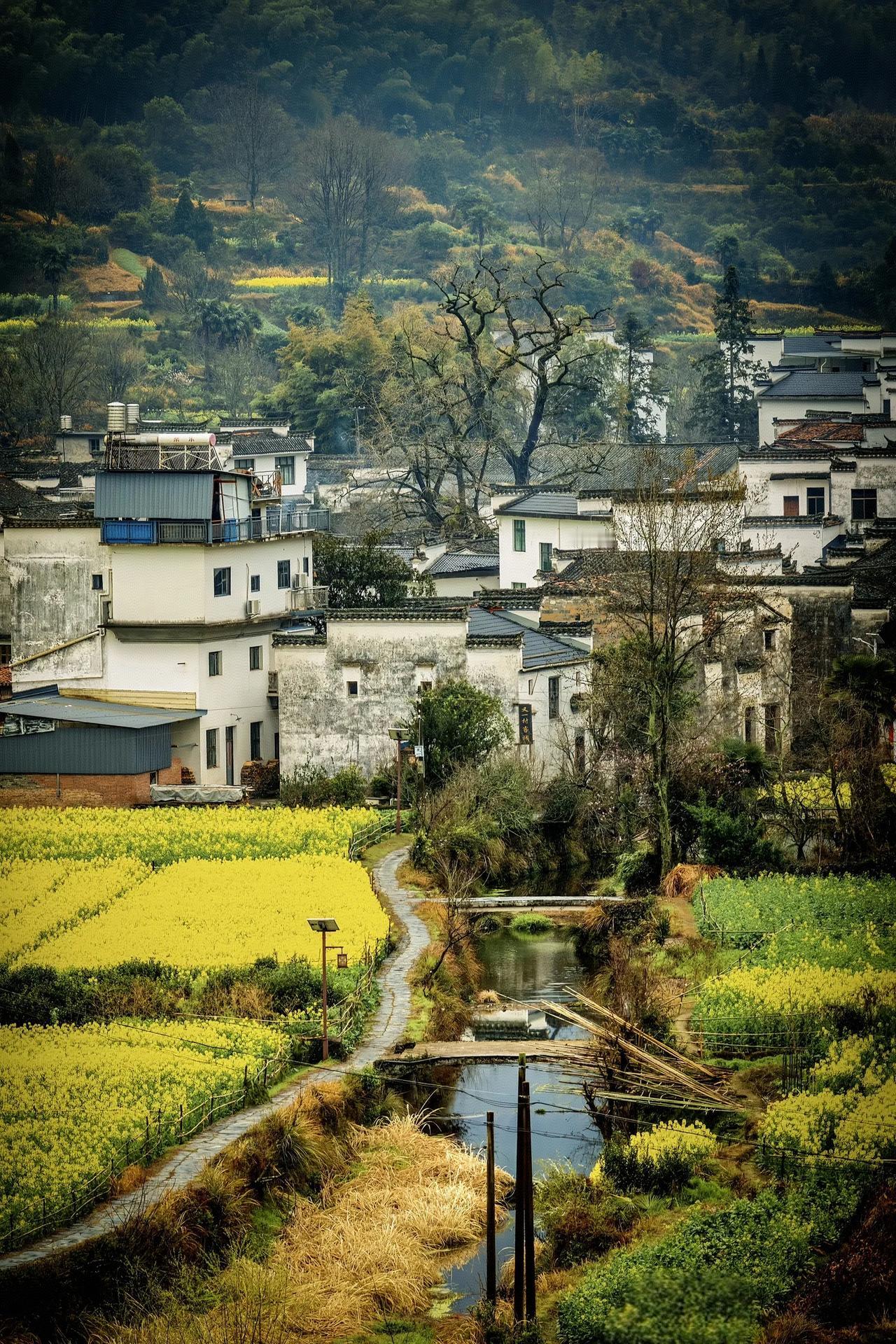 老特宣称，要封锁霍尔木兹海峡，之后谁都不许过，除非交钱。老特是不是疯了？他以为自