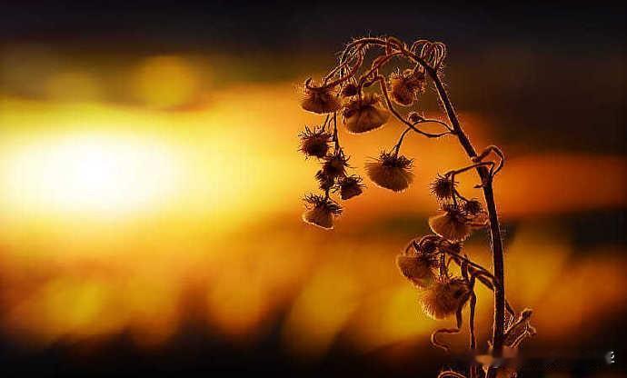 【霞光主题风光摄影作品】
摄影师：Anna Ovatta