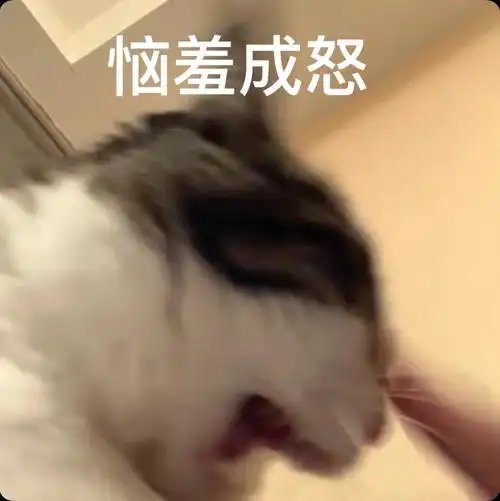 羡慕那些精力旺盛的人该上班上班，下了班聚餐酒吧宵夜，回家以后还能看半宿电视剧，第