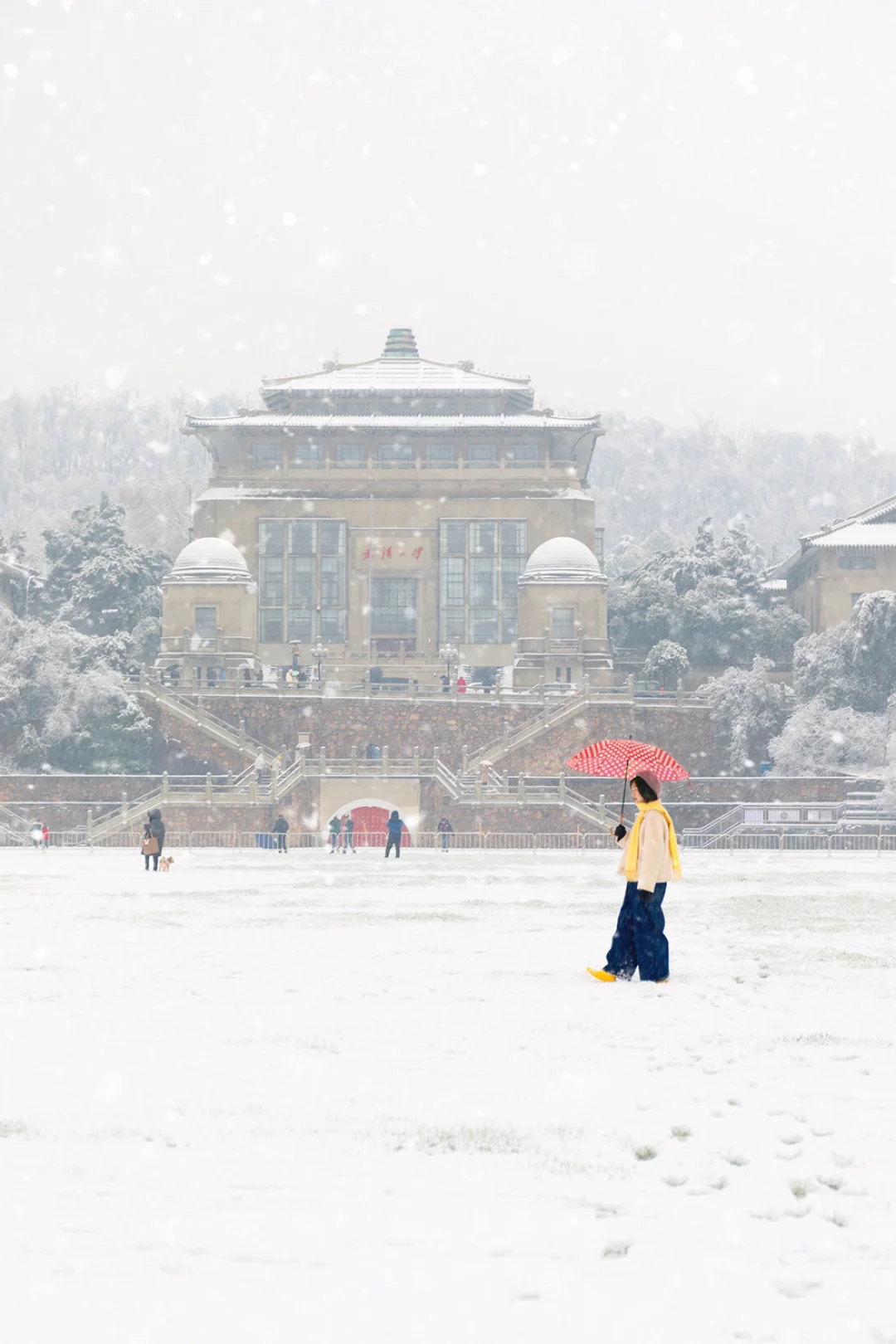 后来我逢人便说，雪后的武大有多浪漫❄️