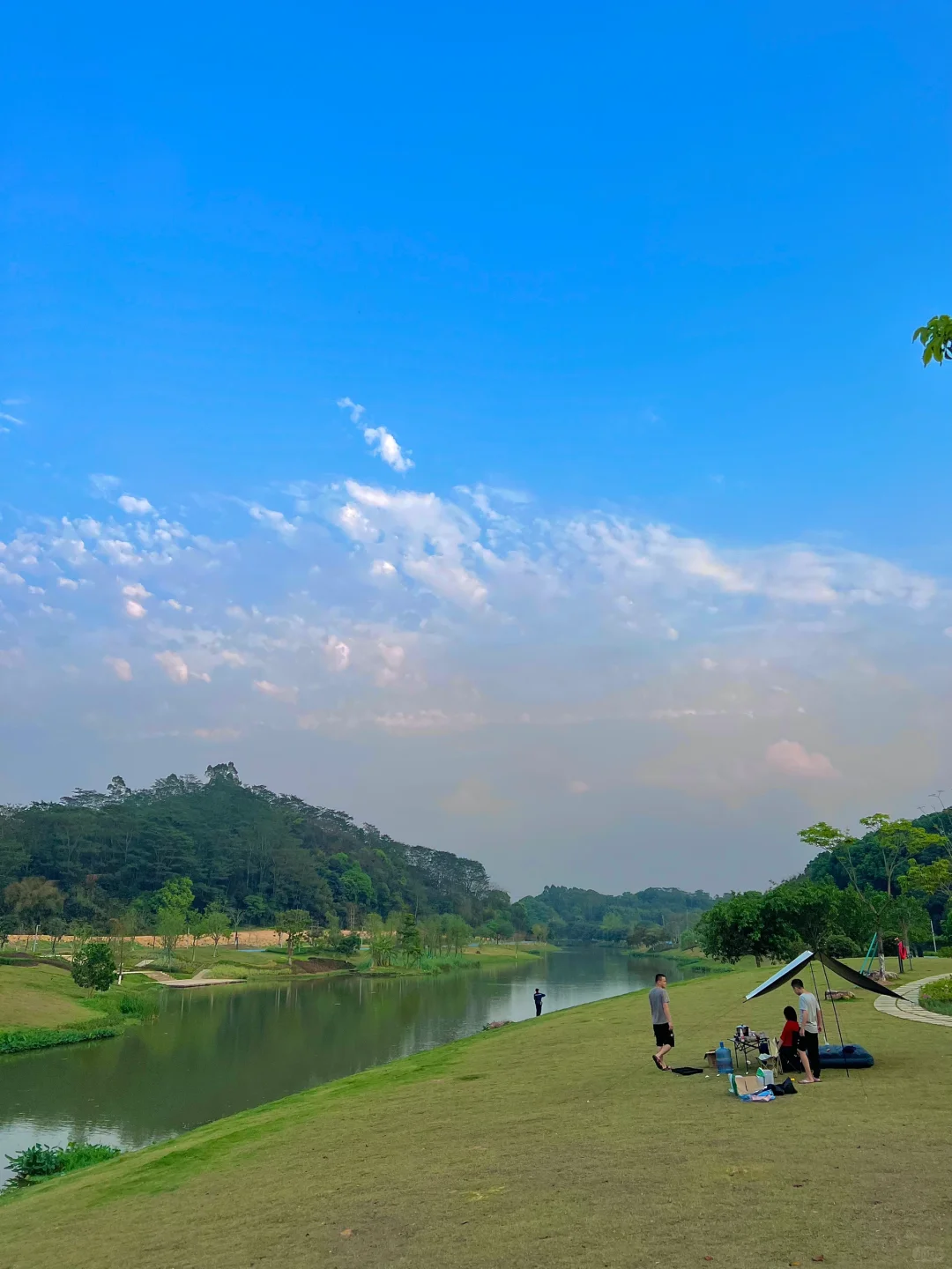 直接天花板🏕️广州开车直达露营地！钓鱼爆桶