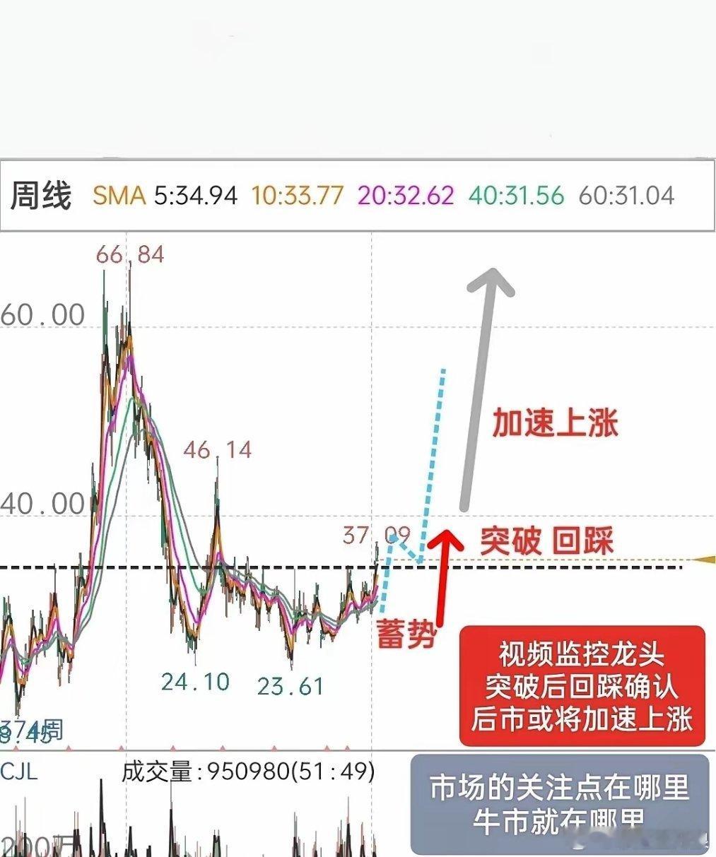 电力股狂掀涨停潮，电力股暴涨原因电力板块满屏红 关注点在哪里，牛市就在哪里！那么