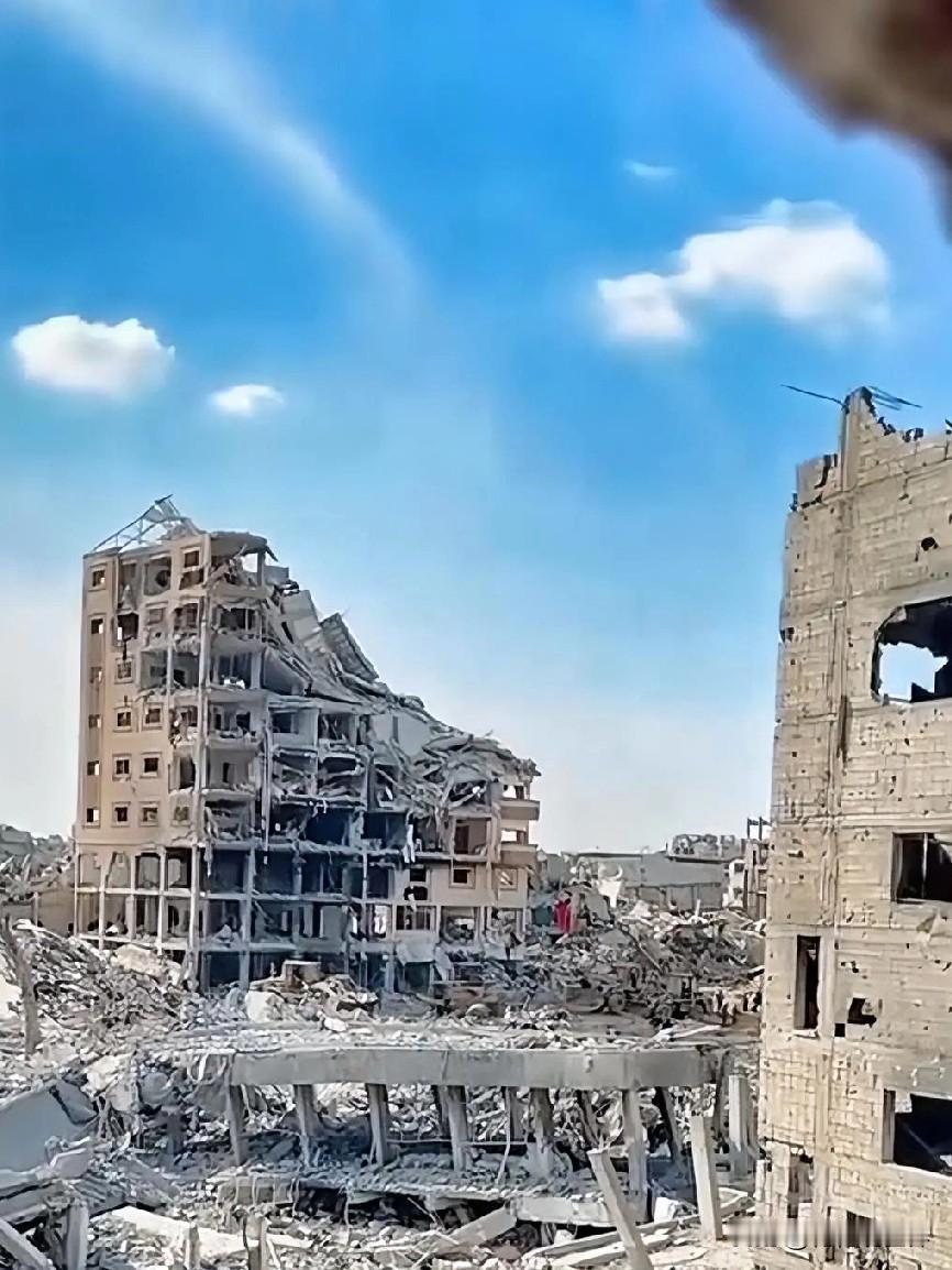 12月20日凌晨的最新消息，速报，全都不容错过，第十条 ：美卡埃土四方会晤推动加