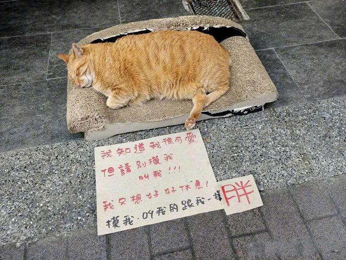 好的好的我不摸你