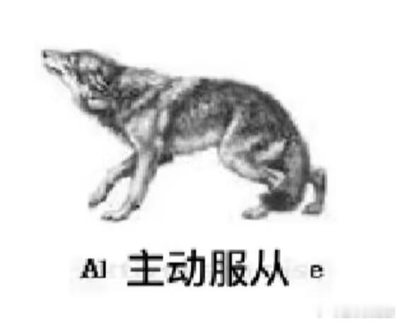 刚那条转发居然秒夹了，但真的想感慨完全无法抵抗耐心靠谱温柔的女性长辈，之前写论文