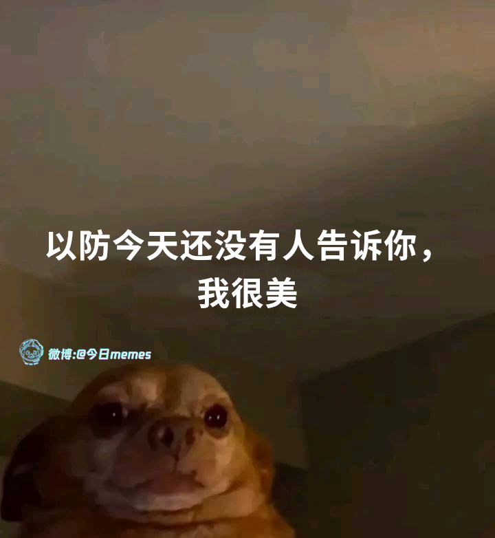 简单说（9gag）今日meme[超话] 今日memes ​​​