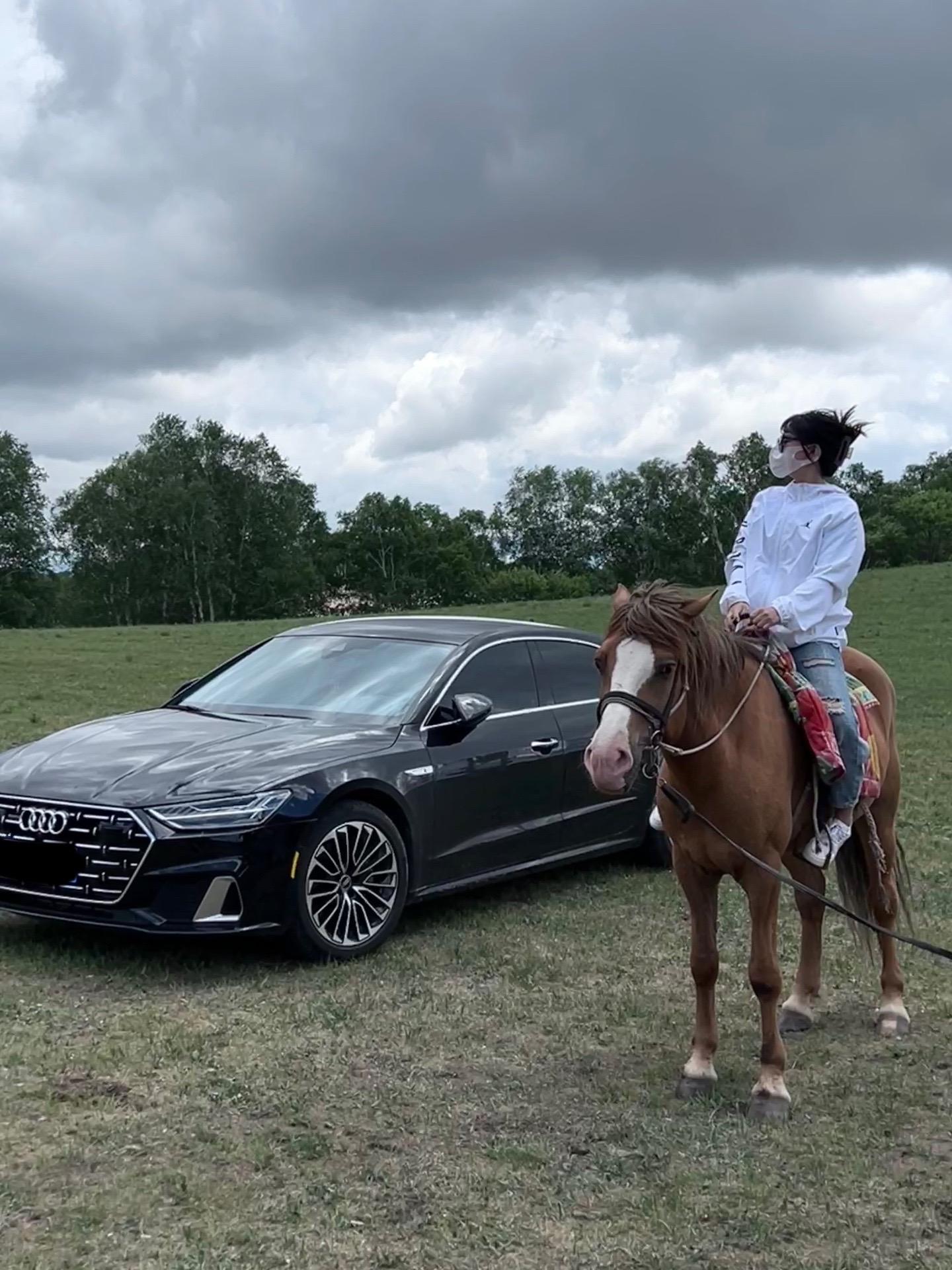 让你爱上的从来都只是感觉