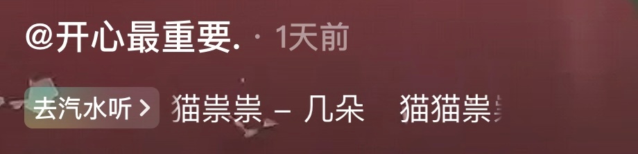 会缩骨功的猫咪人间值得有欢喜我的幽默灵感片场 ​​​