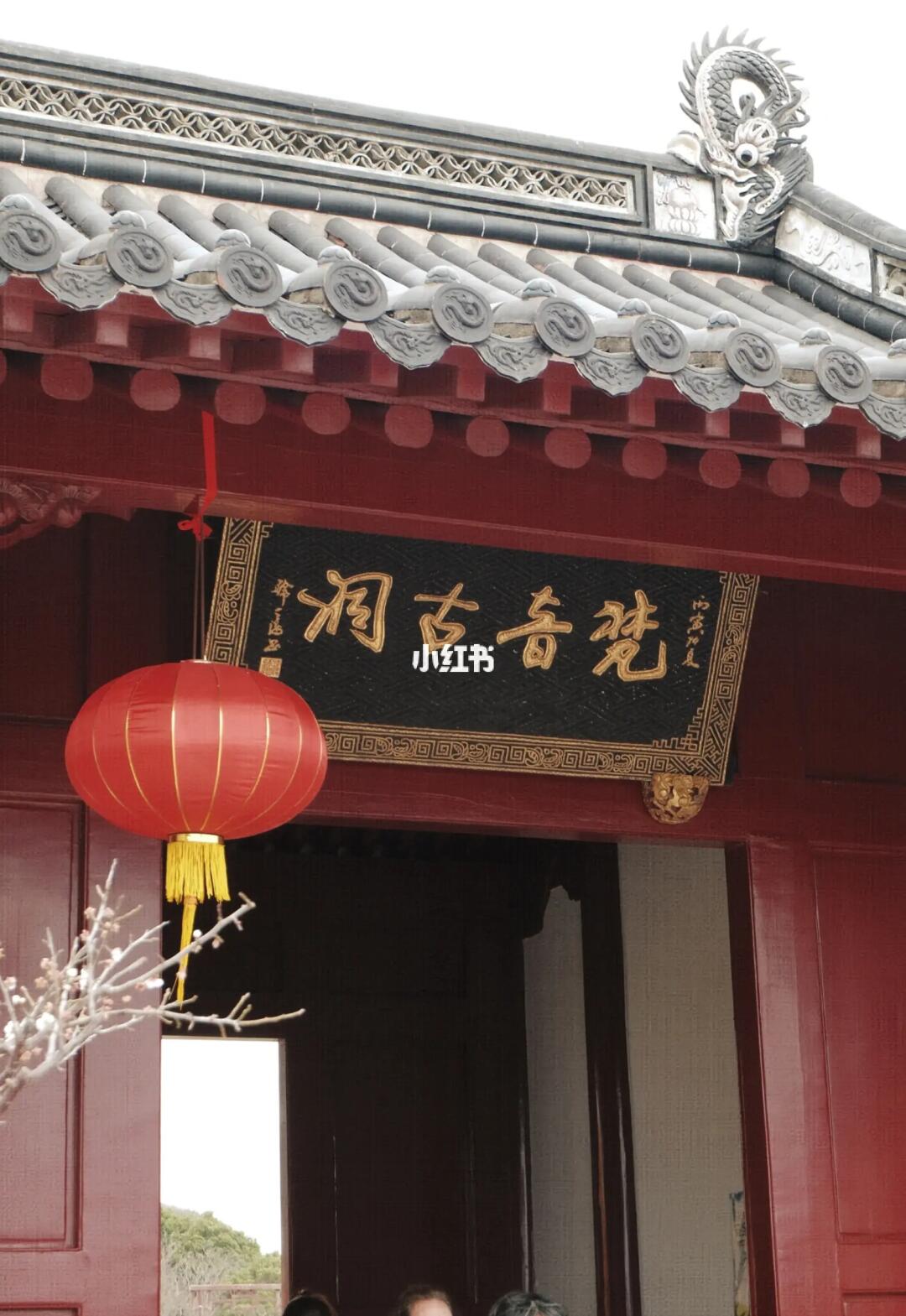 普陀山梵音洞全攻略｜听潮拜佛 🌊