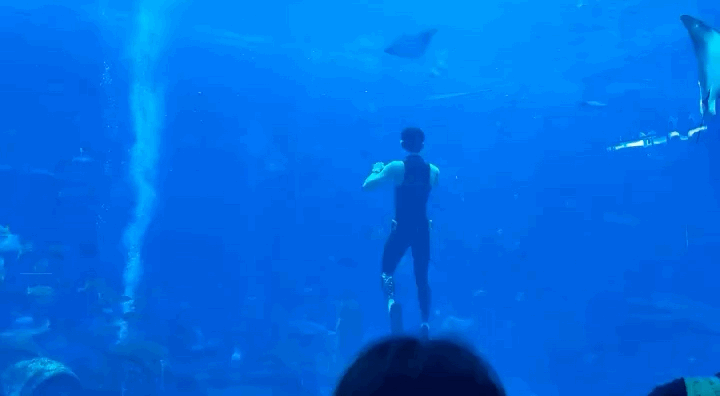 水族馆的男美人鱼竟然是吴磊啊啊啊啊啊啊美男鱼吴磊好性感，吴磊你游到我的心坎里 