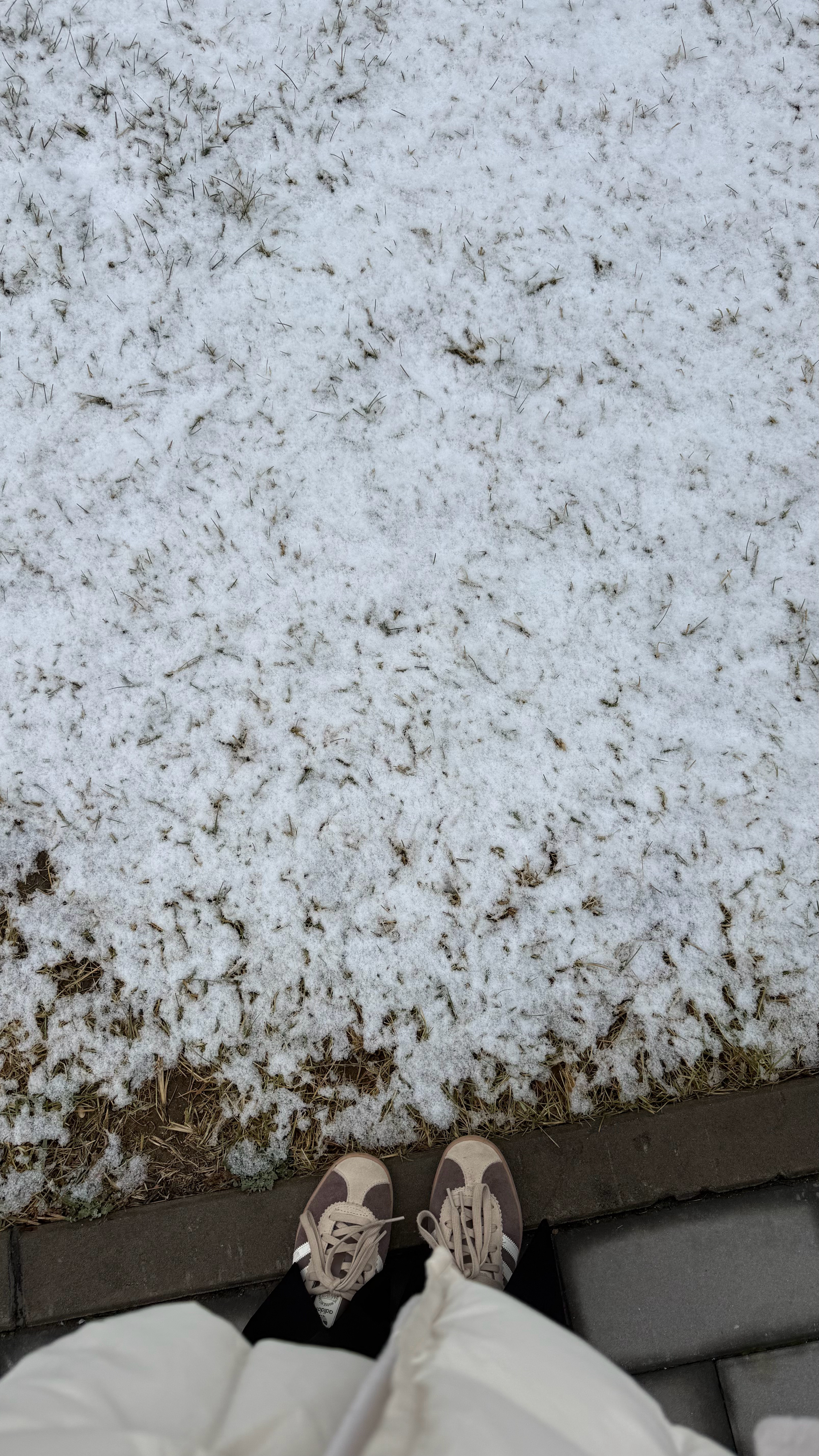 北京 你怎么还在下雪 