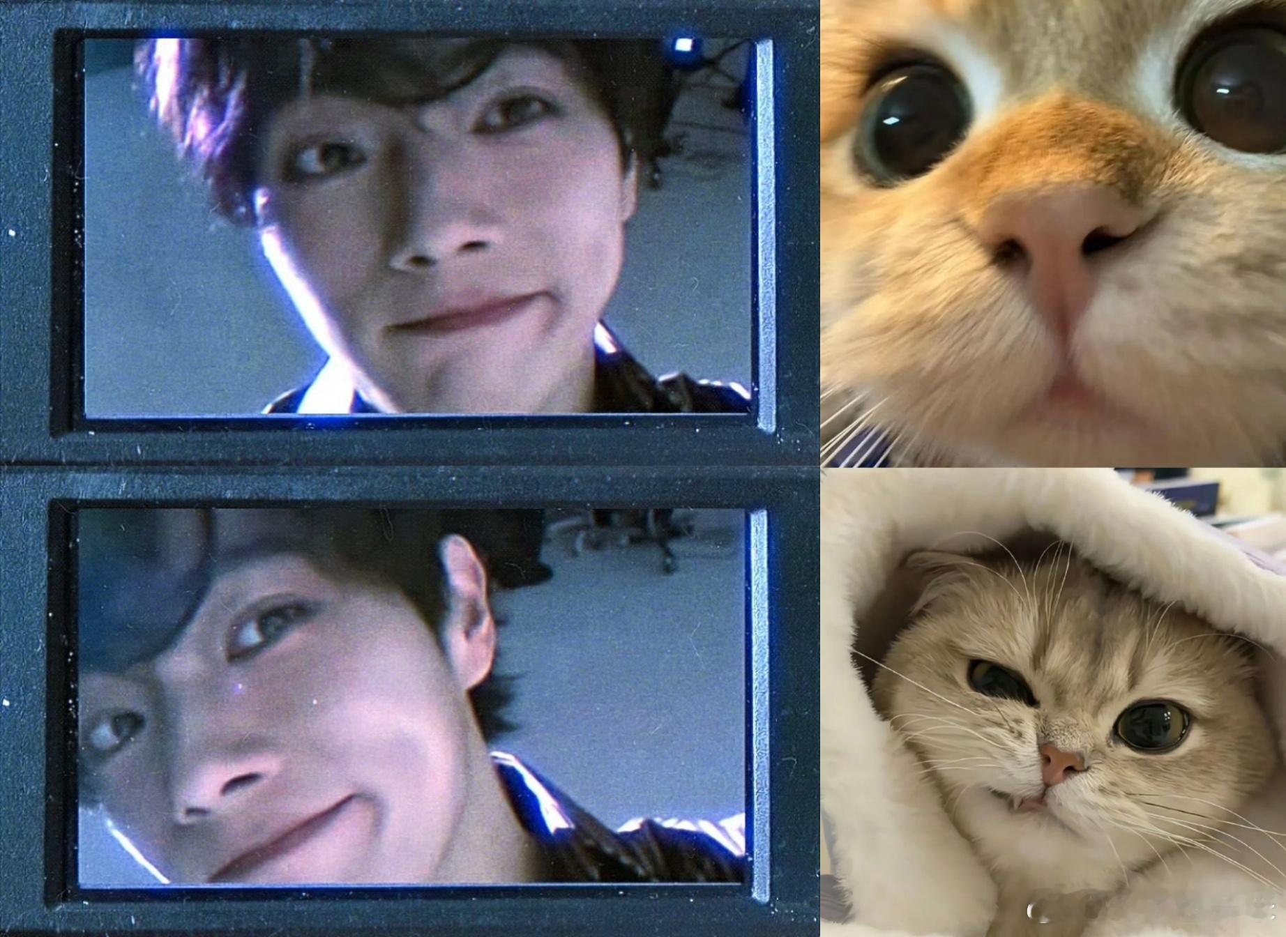 许凯soso是人还是猫我自有定夺。。抱歉，没有不猫我哥哥的义务[哼] ​​​