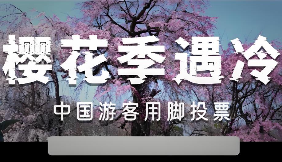 现在日本终于慌了，

五一假期，樱花季已经跟日本无关了，因为中国旅客正在用脚投票