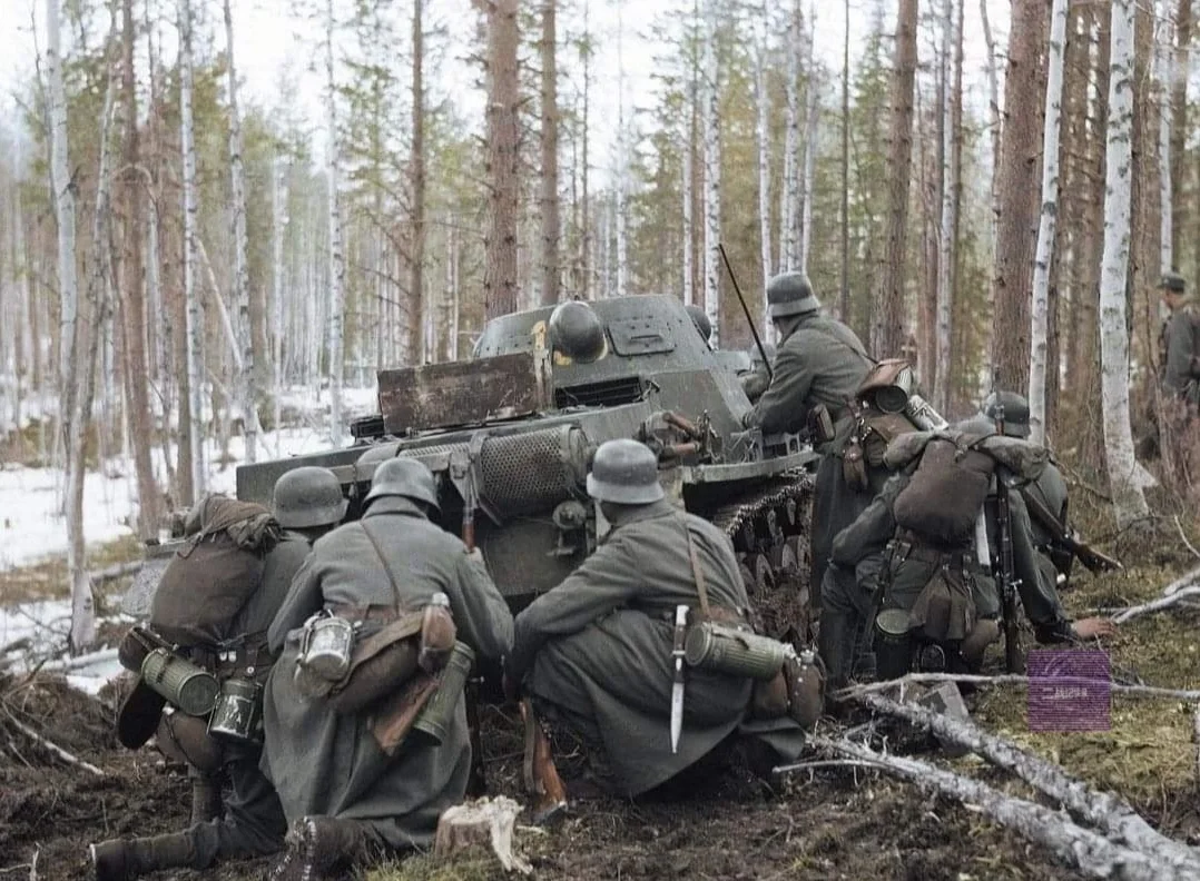 1942年5月15日在东线卡累利阿的卢赫斯基区耶列季亚尔维附近的党卫军...