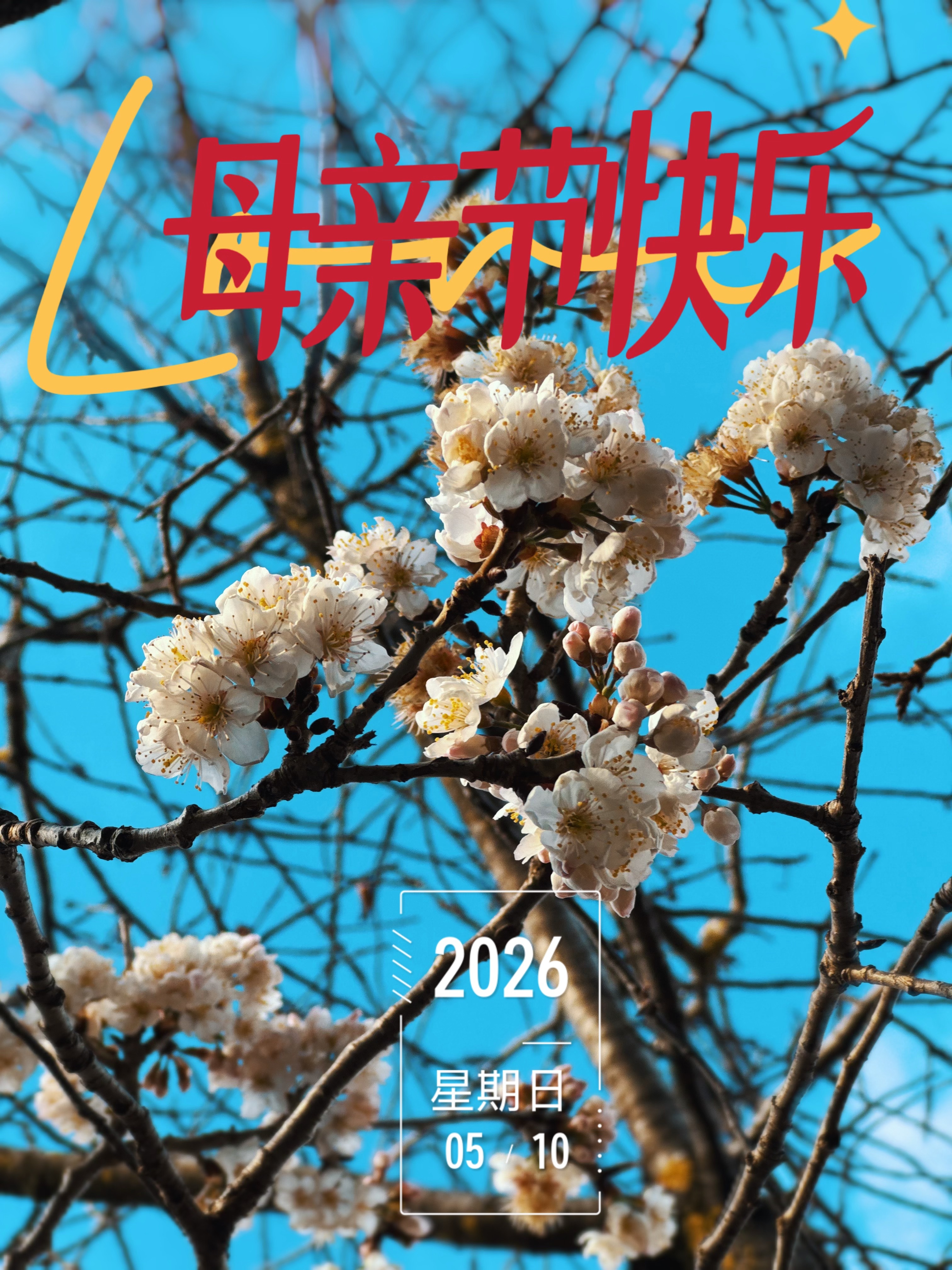 母亲节快乐 