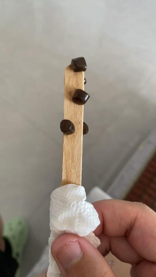 小狗吃珍珠奶茶雪糕