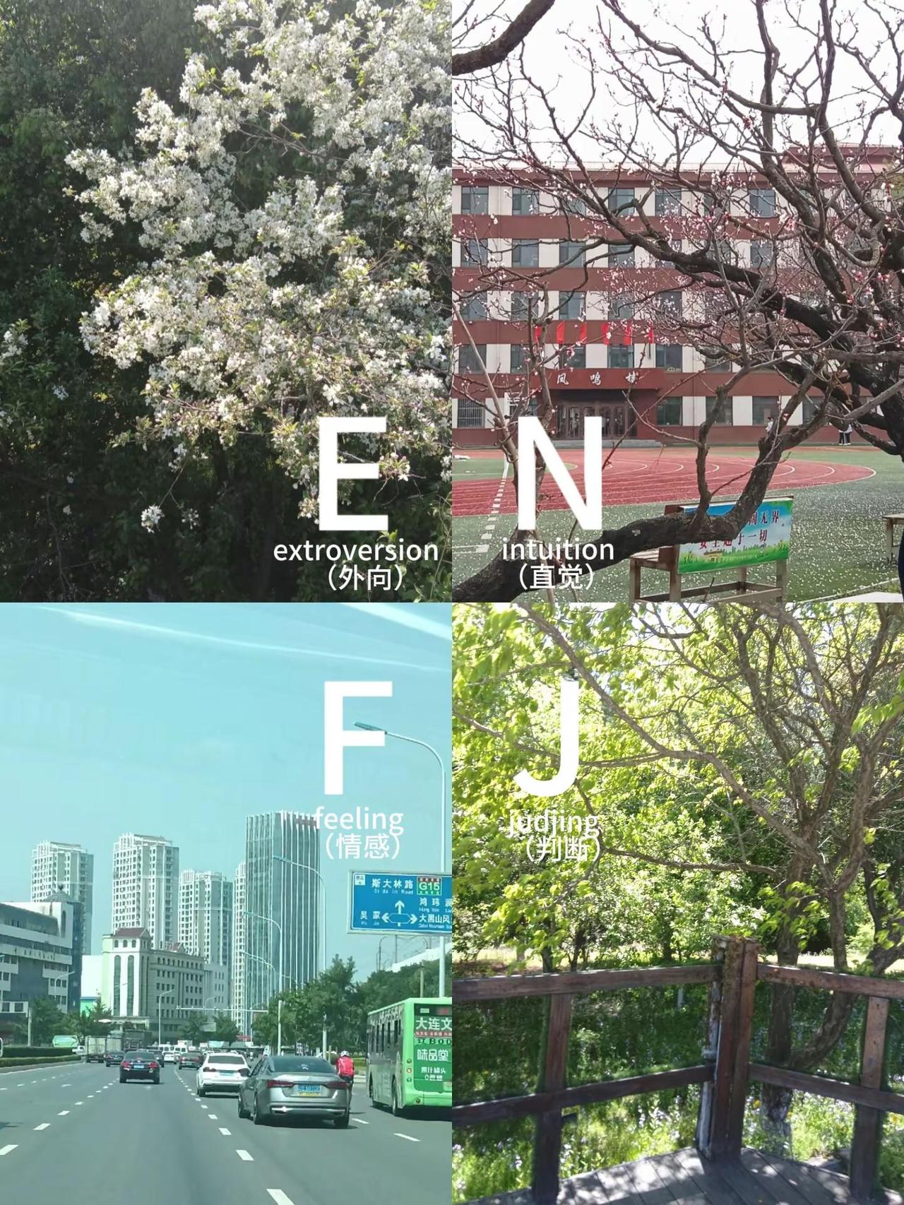 欢迎来到ENFJ的世界。ENFJ mbti