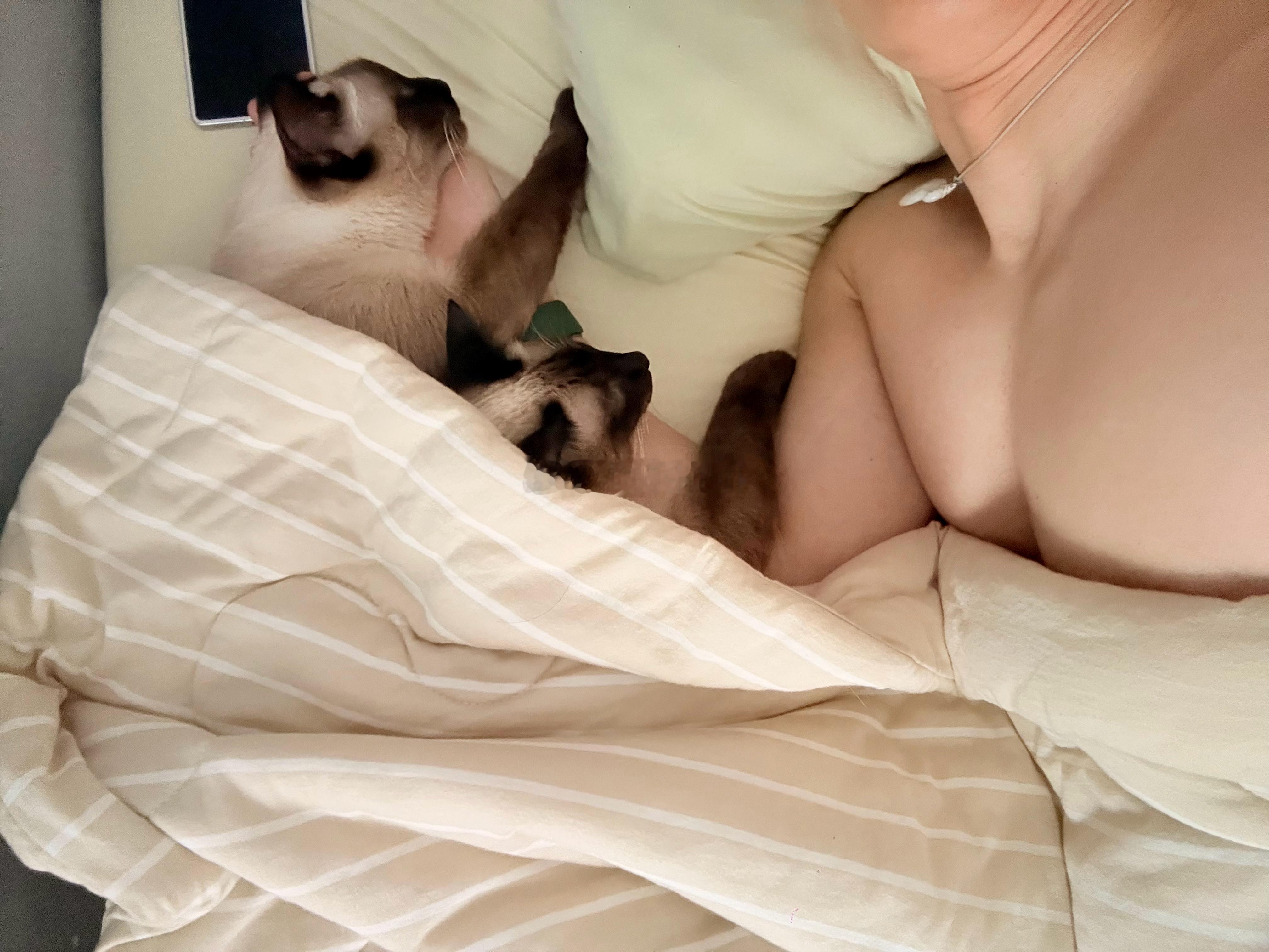 团子、阿离也太幸福了吧？