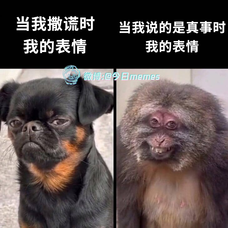 信我（9gag）今日meme今日memes