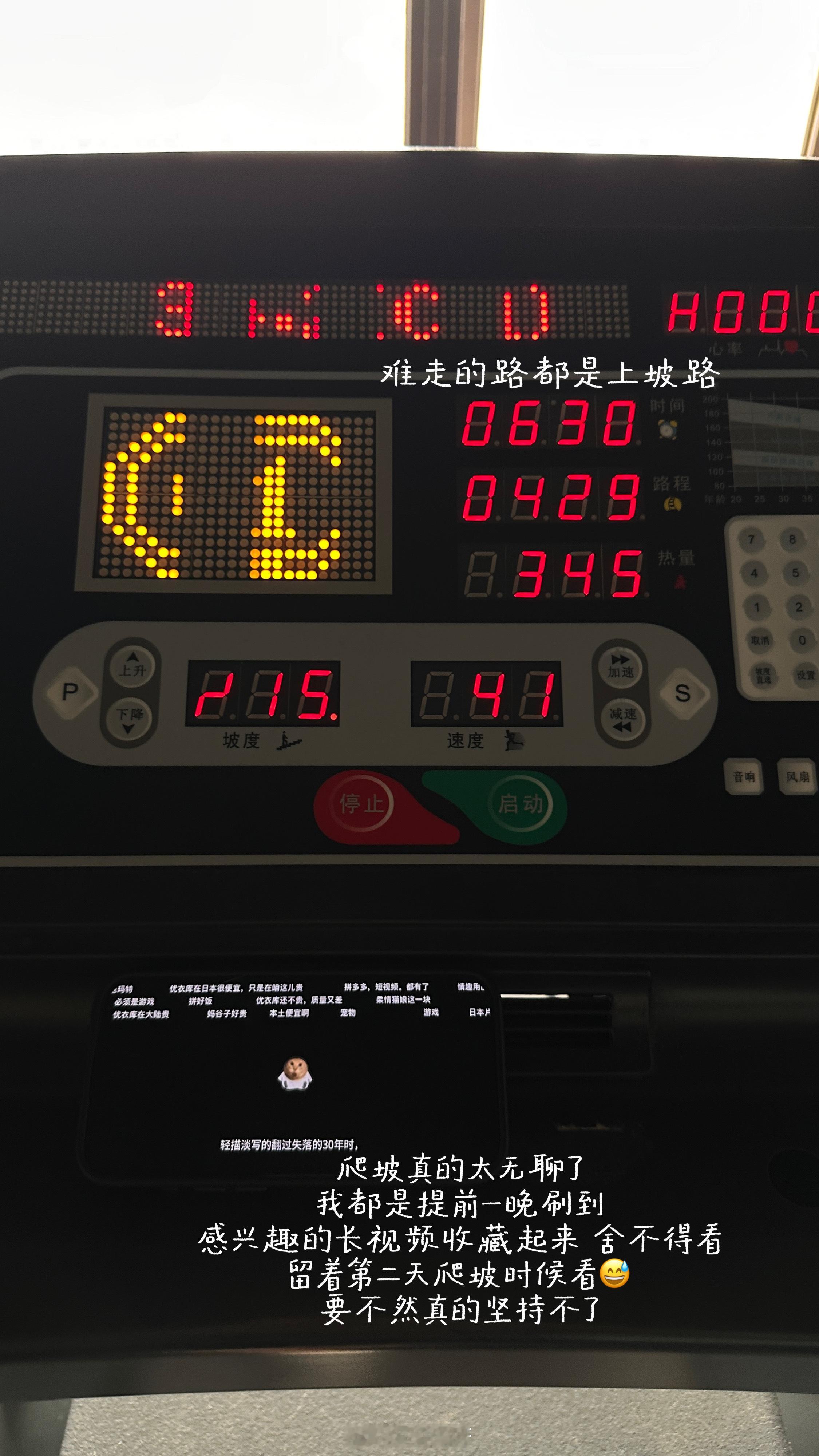 在过一种平静又生机勃勃的生活～plog ​​​