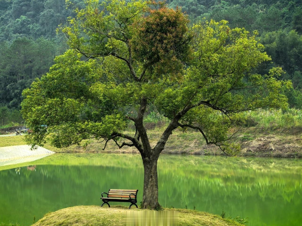 有山有水，有火锅。[允悲]