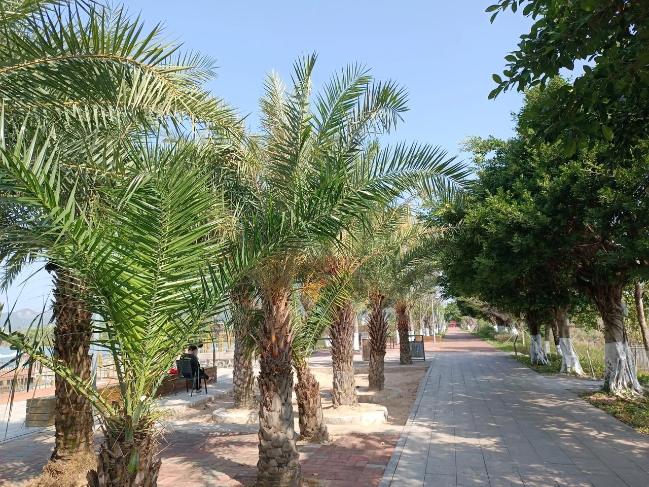 晒一张你相栅里的风景照
湿地公园
山清水秀
风景优美
留连忙返
忙里偷闲
也要去