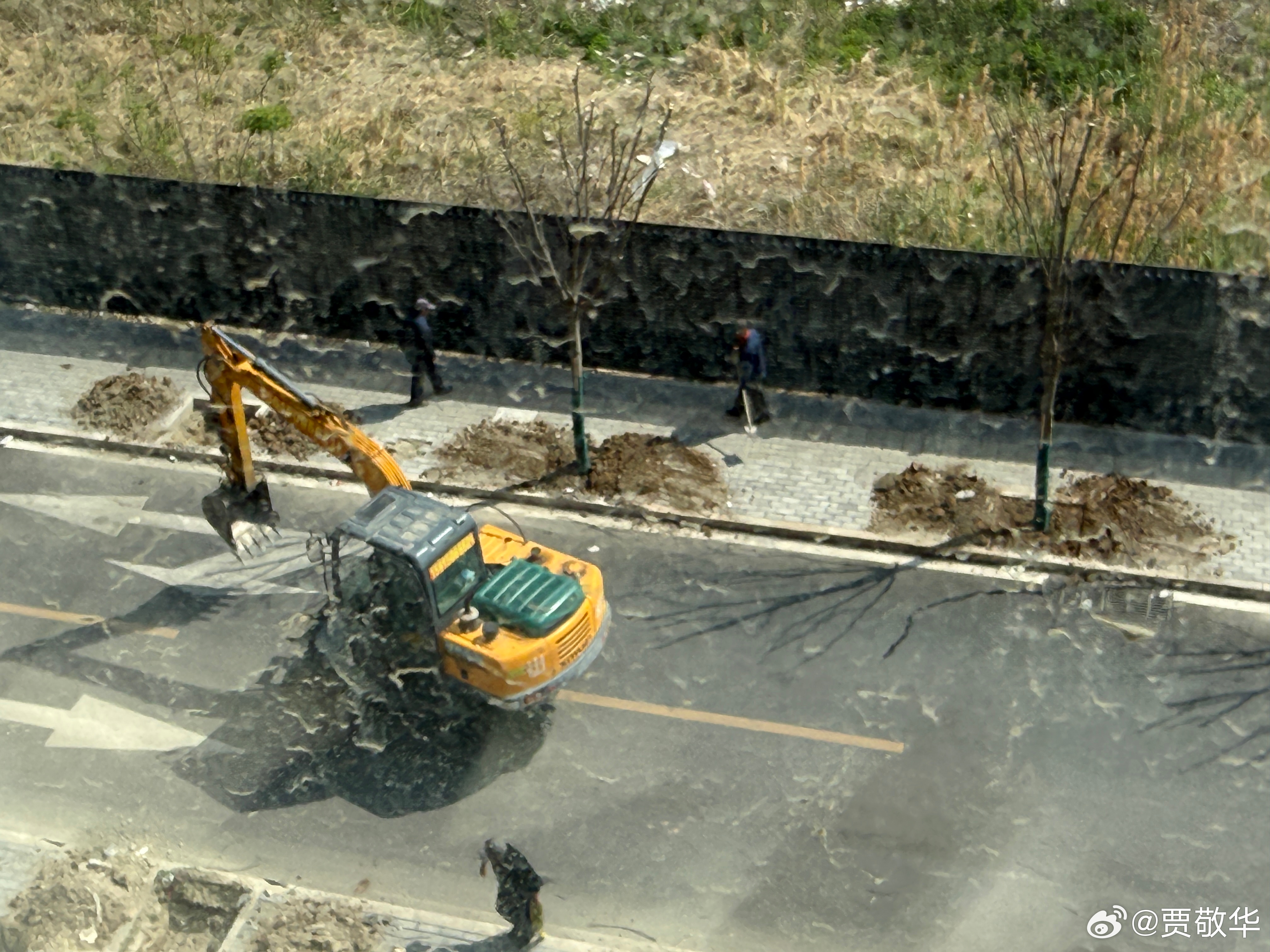 现在种树都是科技与狠活了，根本不大用人力。到底是人变懒了，还是机器成本更低？现在