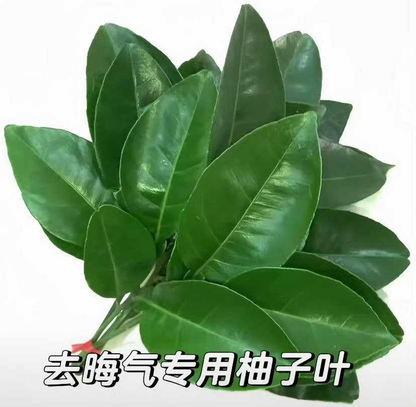 去晦气专用柚子叶🍃 ​​​