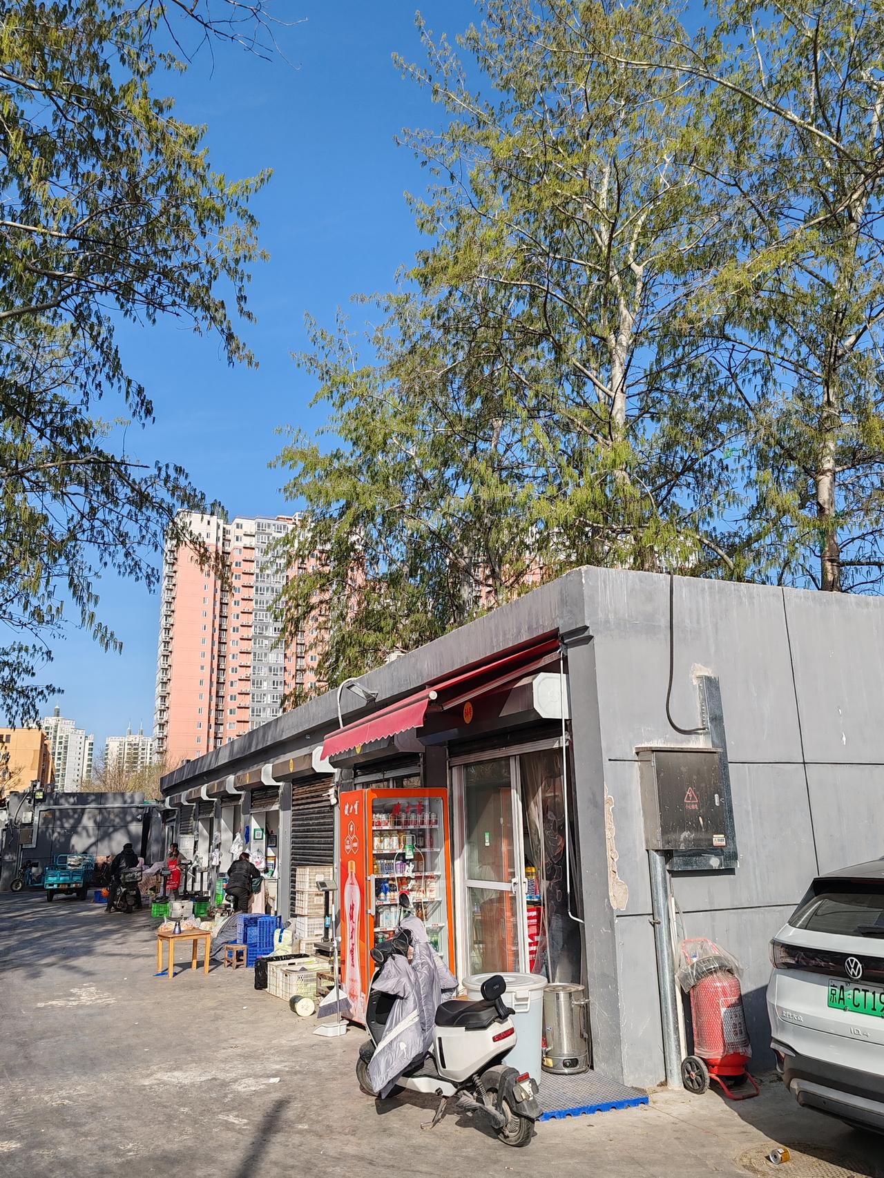 冬去春来的岳郭庄菜市埸。